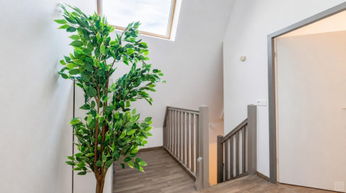 Achard Home - Gallery - 5