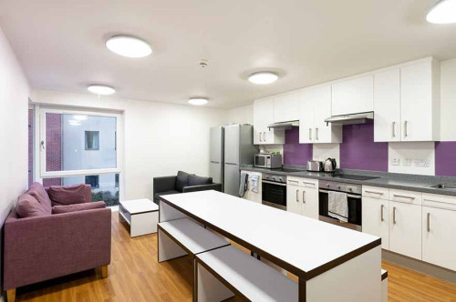 Gill Street South - Gallery - 5