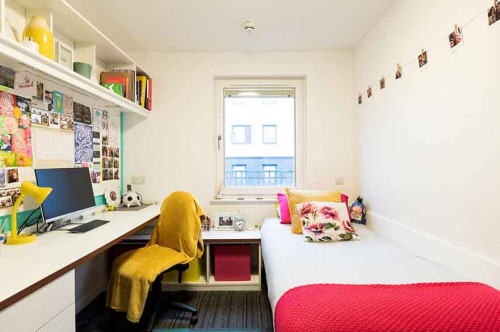 Gill Street South - Gallery - 7