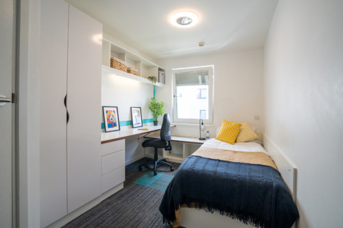 Gill Street South - Gallery - 8