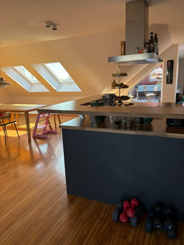 Large Penthouse in the Heart of Dresden - Gallery - 40