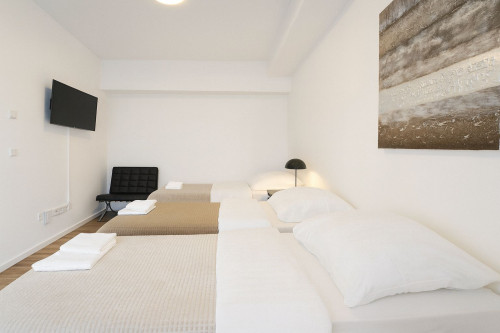 Nice Studio in Düsseldorf