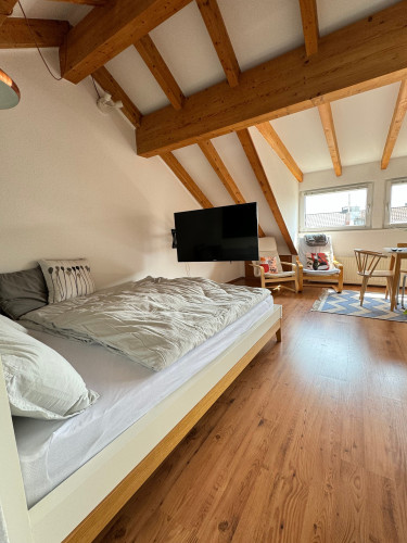 Cozy, perfectly located loft with a lot of natural light and calm backyard