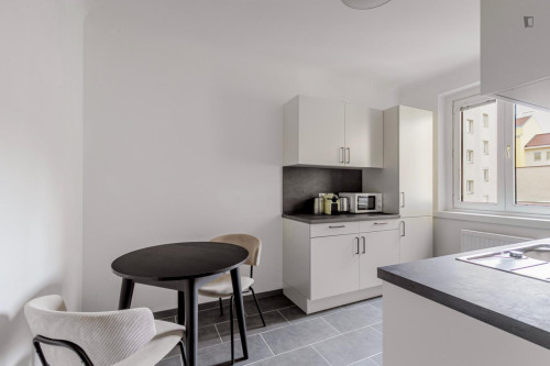 Nice 2-bedroom flat near the Central European University