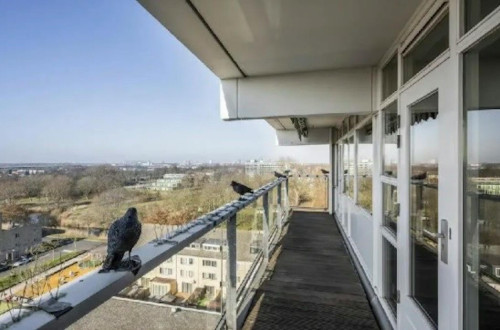 Fleerde, Amsterdam - Gallery - 7