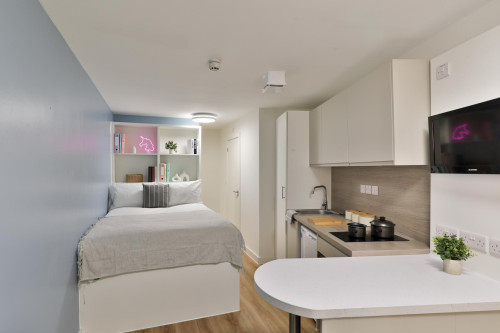 Tamarillo House - Gallery - 46