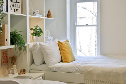 Tamarillo House - Gallery - 48