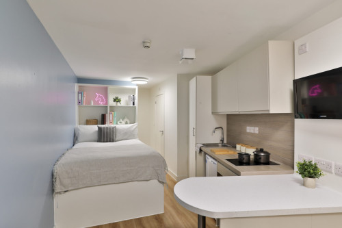 Tamarillo House  - Gallery -  5