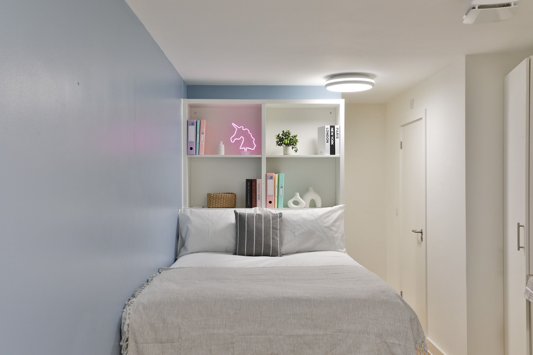 Silver Studio  -  Tamarillo House  - Gallery -  3