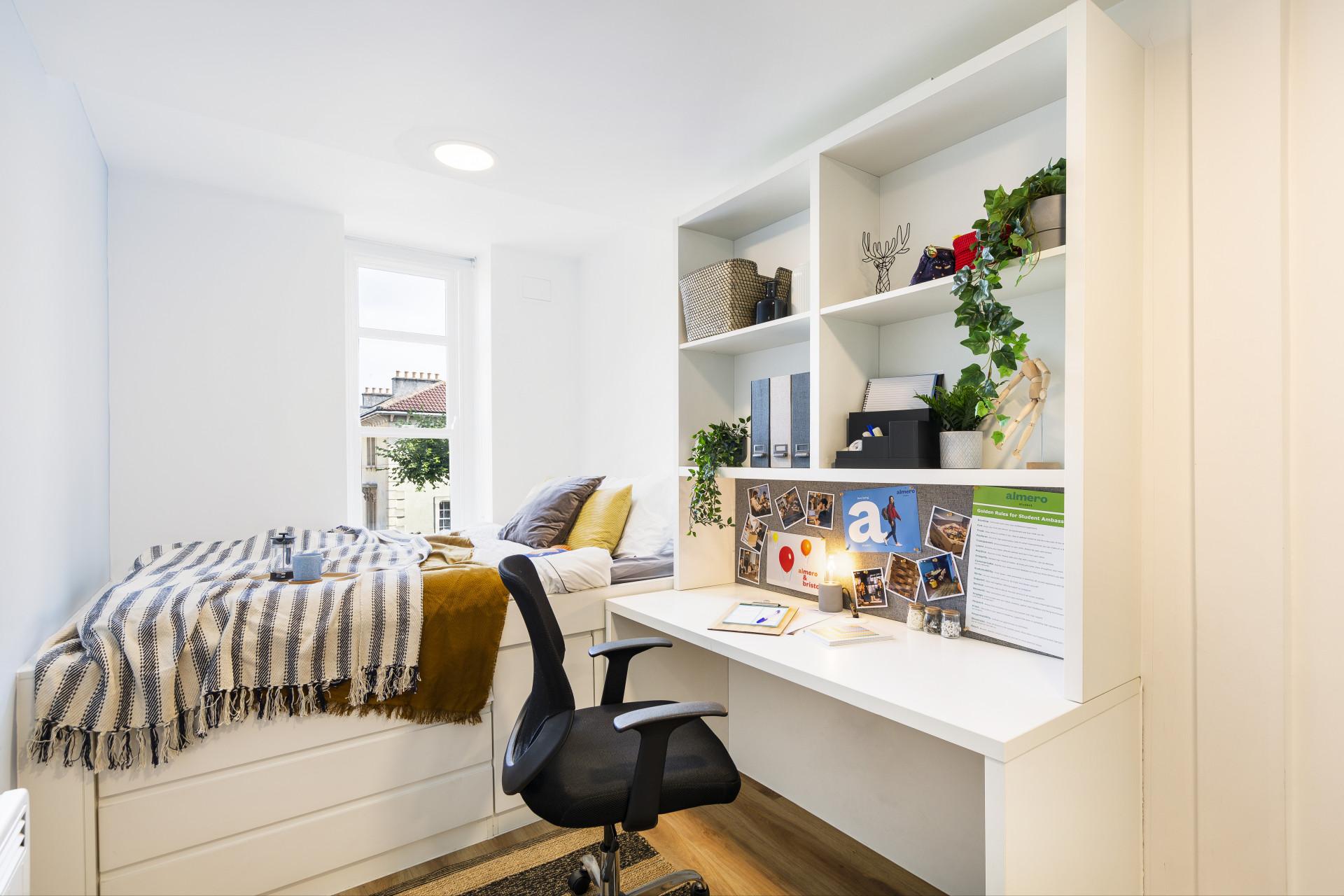  Platinum Studio Plus  -  Tamarillo House  - Gallery -  2