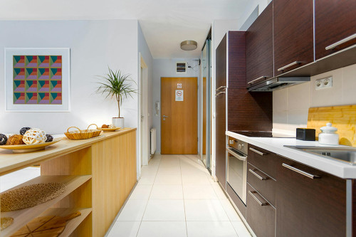 Paulay Ede utca, Budapest - Gallery - 10