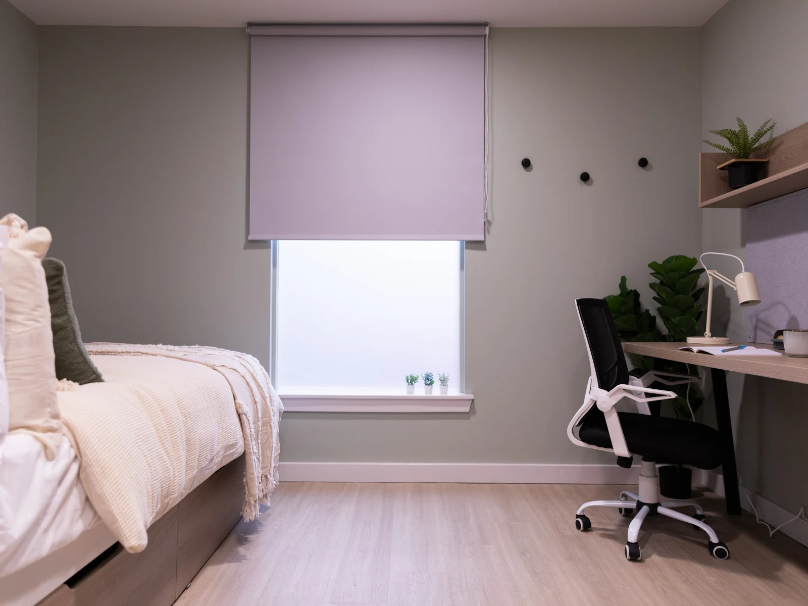 Norton Student Living - Gallery - 26