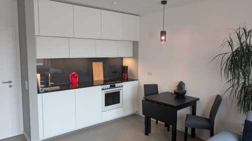 Modern Penthouse-Style Apartment! - 3-Minute Walk to S-Bahn - Gallery - 9