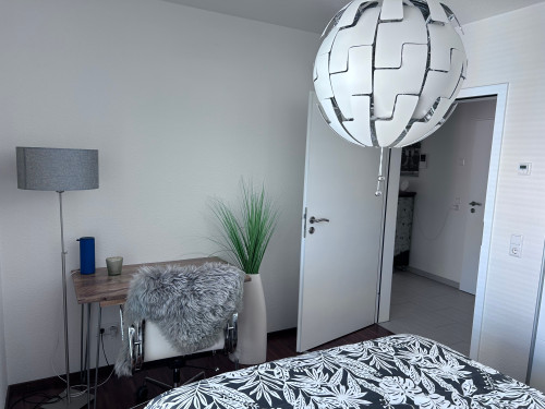Large & fashionable penthouse in Rheinfelden (Baden) - Gallery - 8