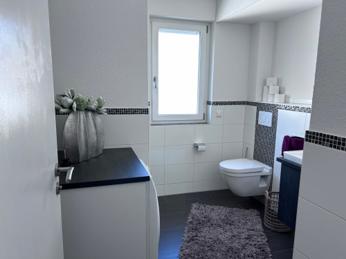 Large & fashionable penthouse in Rheinfelden (Baden) - Gallery - 20