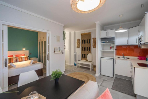 Excellent 1-bedroom apartment near famous Las Canteras