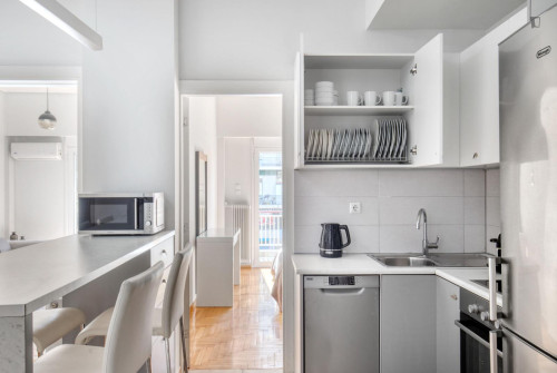 Welcoming 2-bedroom flat near the The Business College of Athens