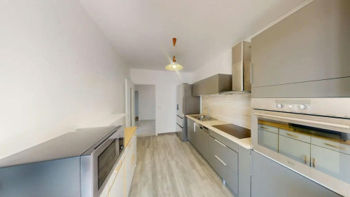 Rue d'Alco, Montpellier - Gallery - 9