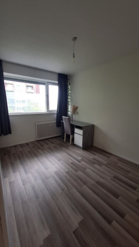 Papsouwselaan, Delft