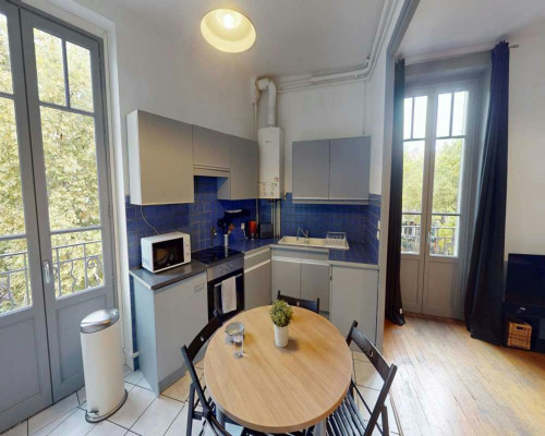 Rue de Créqui, Lyon - Gallery - 8