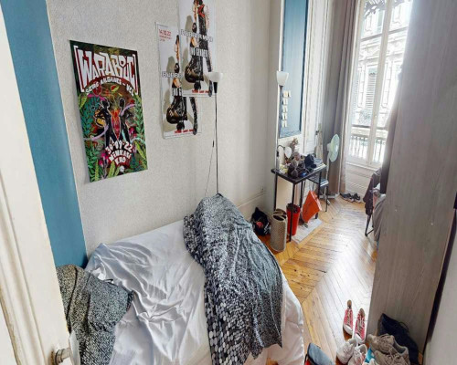 Rue du Président Édouard Herriot, Lyon