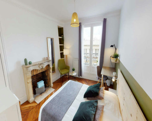 Rue des Volontaires, Paris