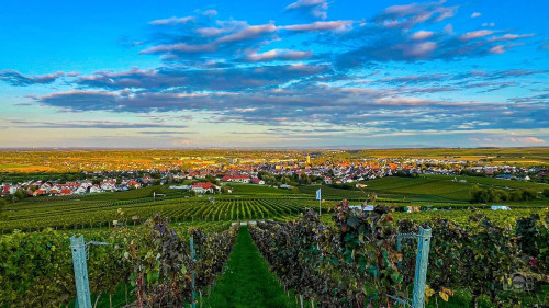 Newly Renovated Furnished Apartment near Mainz | 7 min by Train | Terrace | Surrounded by Vineyards and Wineries - Gallery - 13