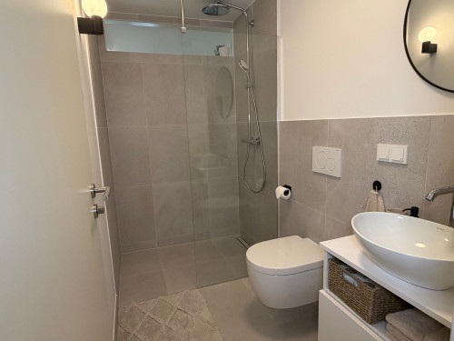 Newly Renovated Furnished Apartment near Mainz | 7 min by Train | Terrace | Surrounded by Vineyards and Wineries