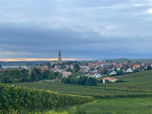 Newly Renovated Furnished Apartment near Mainz | 7 min by Train | Terrace | Surrounded by Vineyards and Wineries - Gallery - 15