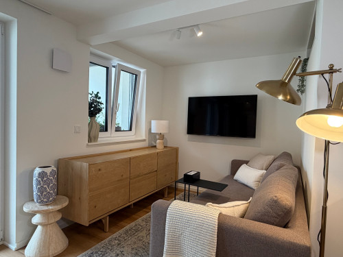 Newly Renovated Furnished Apartment near Mainz | 7 min by Train | Terrace | Surrounded by Vineyards and Wineries - Gallery - 33