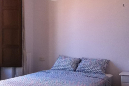 Cosy 1-bedroom apartment in the heart of Granada