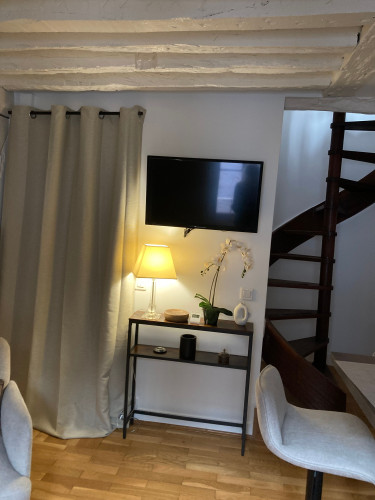 Quiet psy duplex apartment in the center of Paris