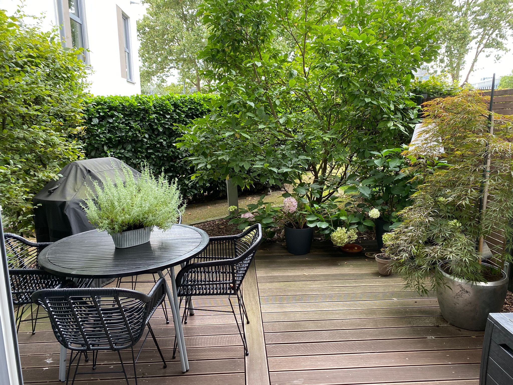 Great Studio Home With Own Entry At The Best Spot In Düsseldorf - 9
