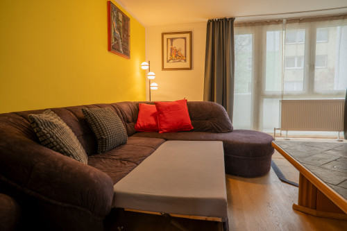 Bright and Spacious Apartment near Nuremberg City Center