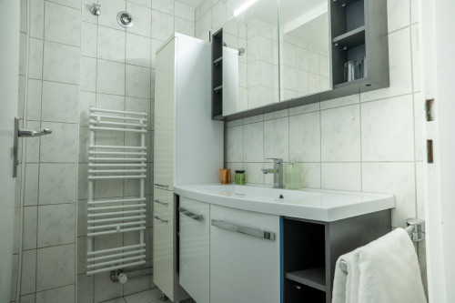 Bright and Spacious Apartment near Nuremberg City Center - Gallery - 9