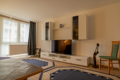 Bright and Spacious Apartment near Nuremberg City Center