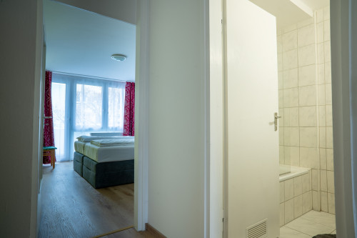 Bright and Spacious Apartment near Nuremberg City Center - Gallery - 13