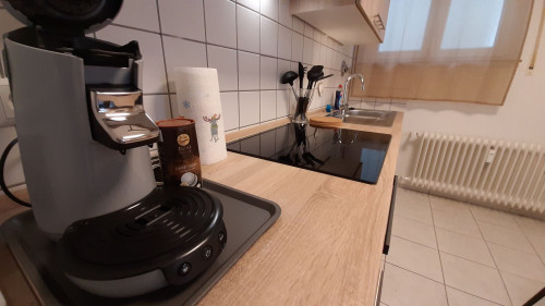 Nice apartment in Birkenfeld with garden between Karlsruhe and Stuttgart - Gallery - 13
