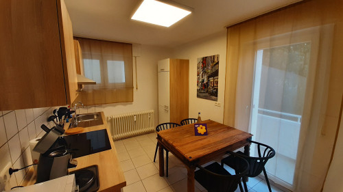 Nice apartment in Birkenfeld with garden between Karlsruhe and Stuttgart - Gallery - 11