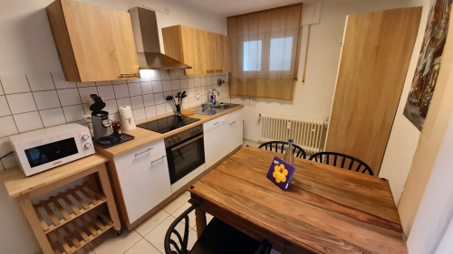 Nice apartment in Birkenfeld with garden between Karlsruhe and Stuttgart - Gallery - 14