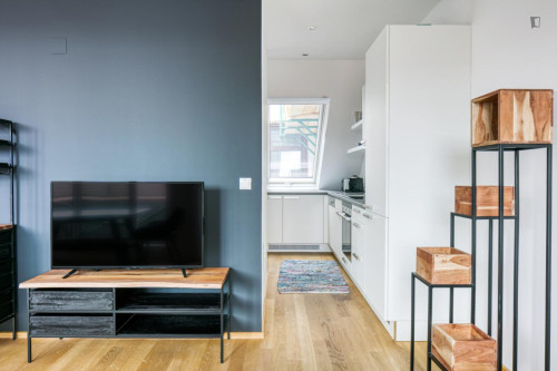 Inviting 1-bedroom flat in Mariahilf - Gallery - 7
