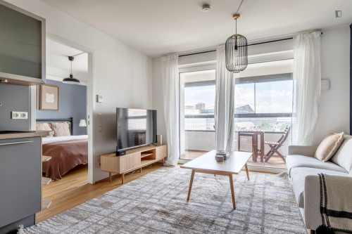 Cozy 1-bedroom flat near the IBS International Business School - Gallery - 17