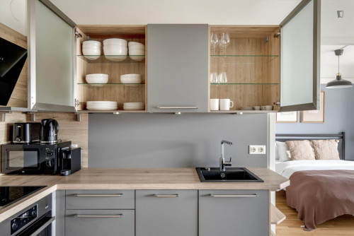 Cozy 1-bedroom flat near the IBS International Business School - Gallery - 13