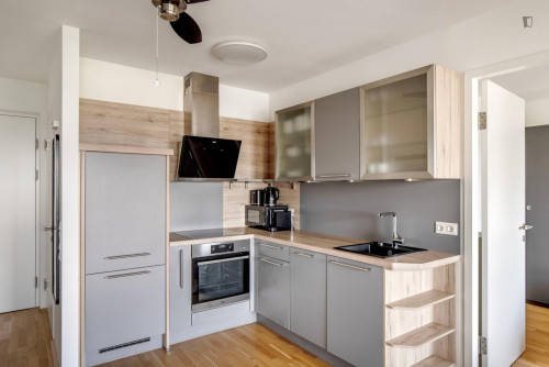Cozy 1-bedroom flat near the IBS International Business School - Gallery - 14
