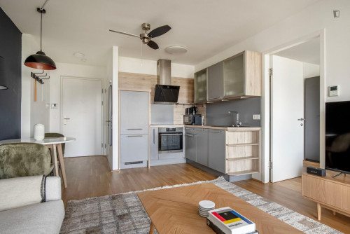 Cozy 1-bedroom flat near the IBS International Business School - Gallery - 16