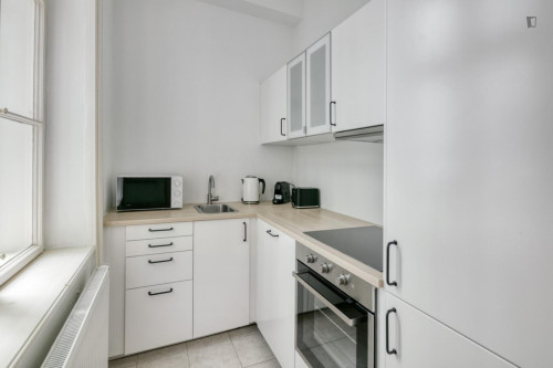 Dashing 2-bedroom apartment in Fasanviertel - Gallery - 8