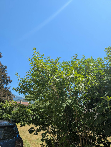 Rue de la Rivoire, Voiron - Gallery - 10