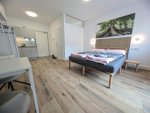 Krichbaumgasse, Vienna - Gallery - 5