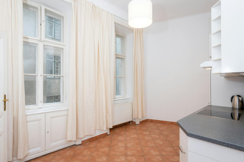 Linke Wienzeile, Vienna