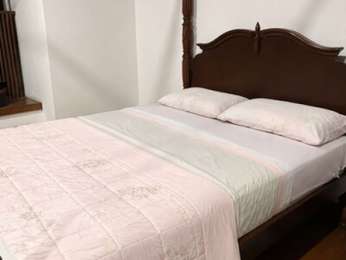 Newly renovated Terrace house
